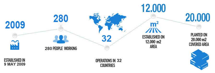 company profile